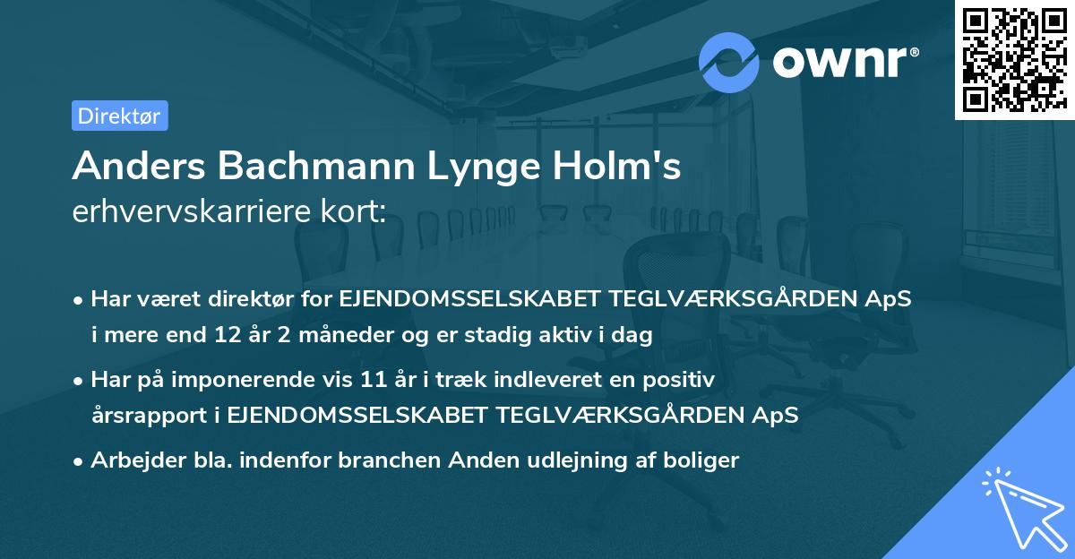 Anders Bachmann Lynge Holm's erhvervskarriere kort