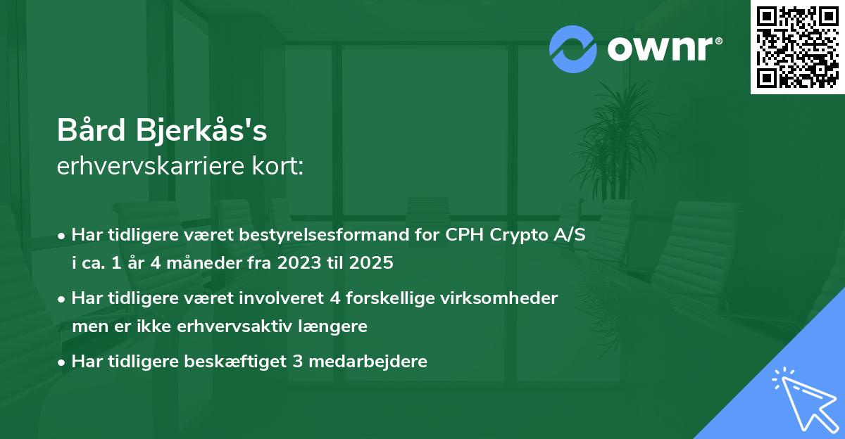 Bård Bjerkås's erhvervskarriere kort