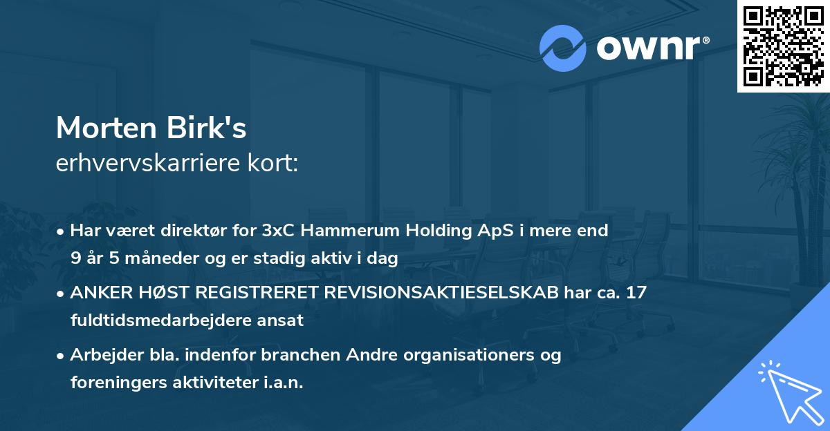 Morten Birk's erhvervskarriere kort