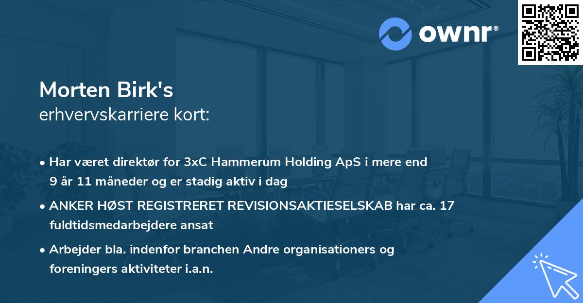 Morten Birk's erhvervskarriere kort