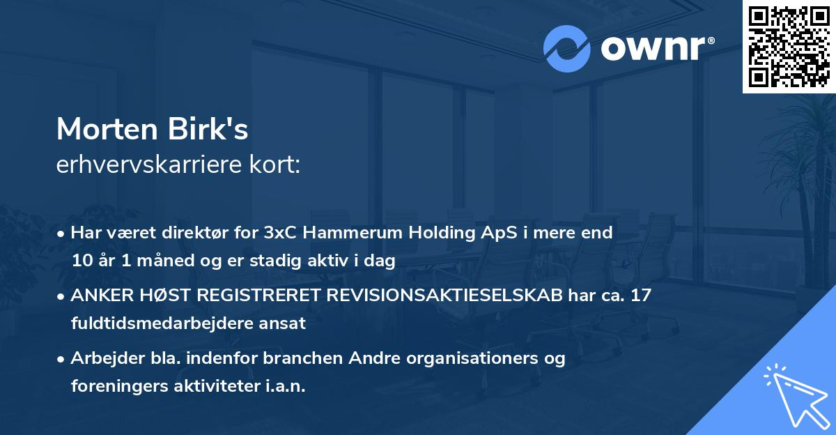 Morten Birk's erhvervskarriere kort