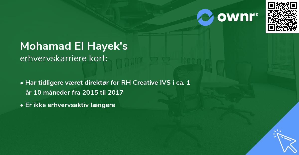 Mohamad El Hayek's erhvervskarriere kort