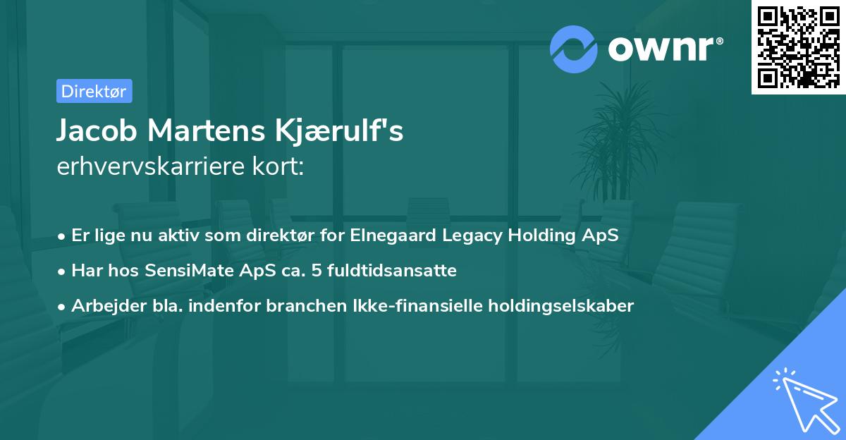 Jacob Martens Kjærulf's erhvervskarriere kort