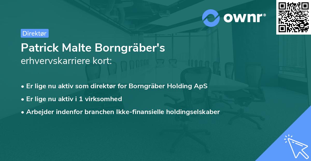 Patrick Malte Borngräber's erhvervskarriere kort