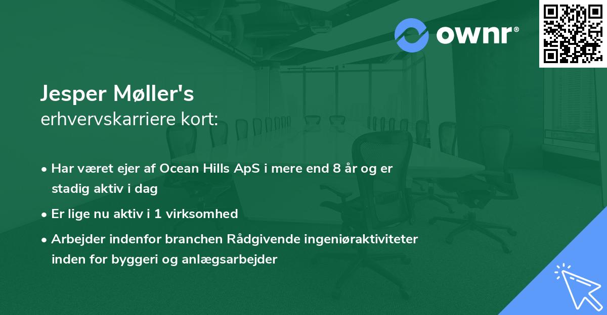 Jesper Møller's erhvervskarriere kort