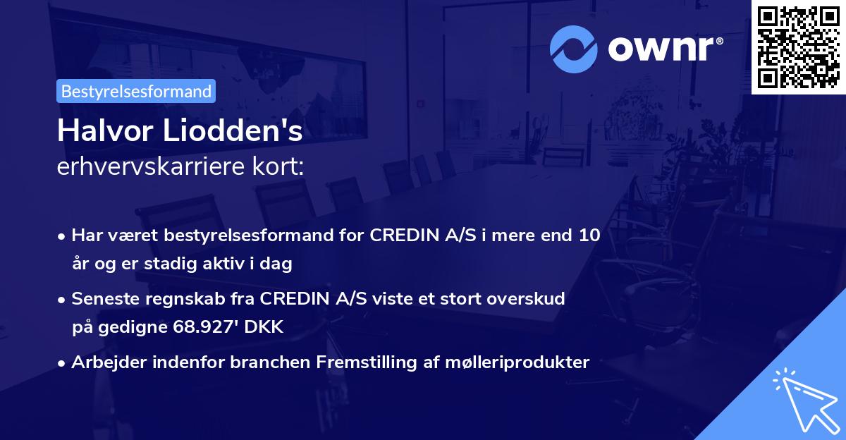 Halvor Liodden's erhvervskarriere kort