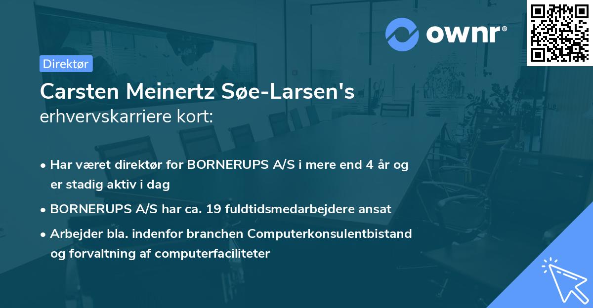 Carsten Meinertz Søe-Larsen's erhvervskarriere kort