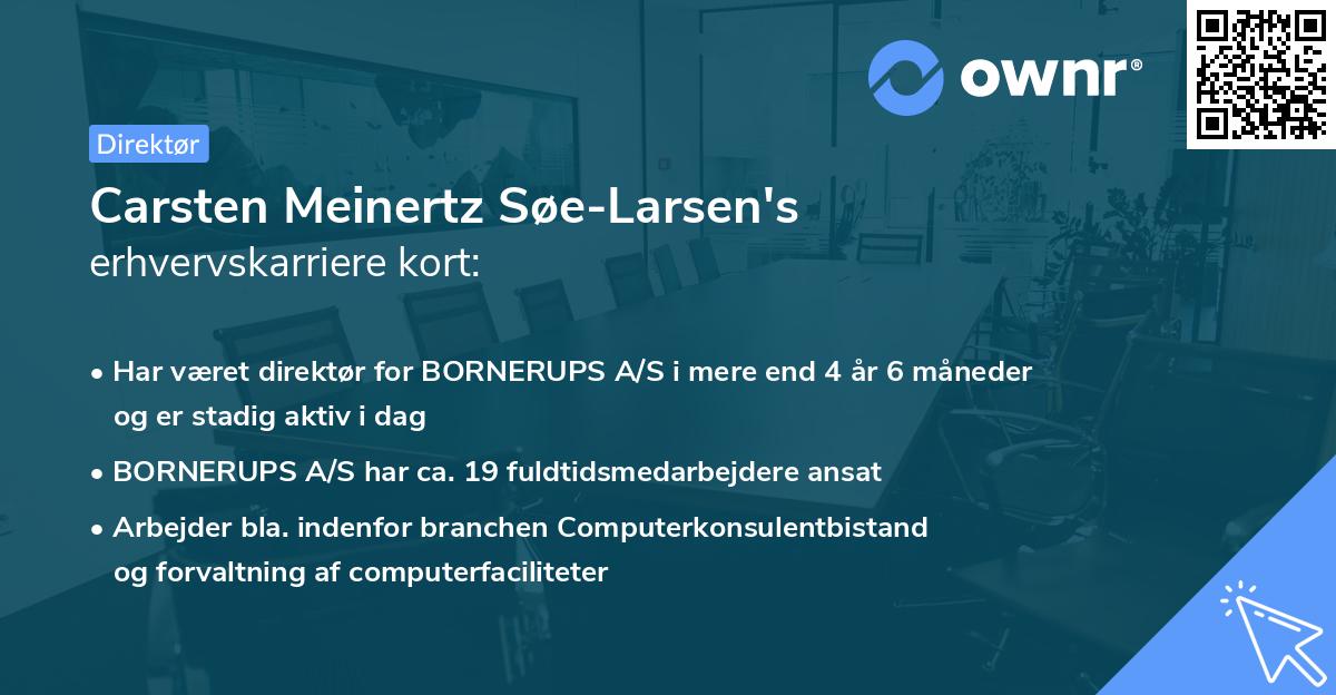 Carsten Meinertz Søe-Larsen's erhvervskarriere kort