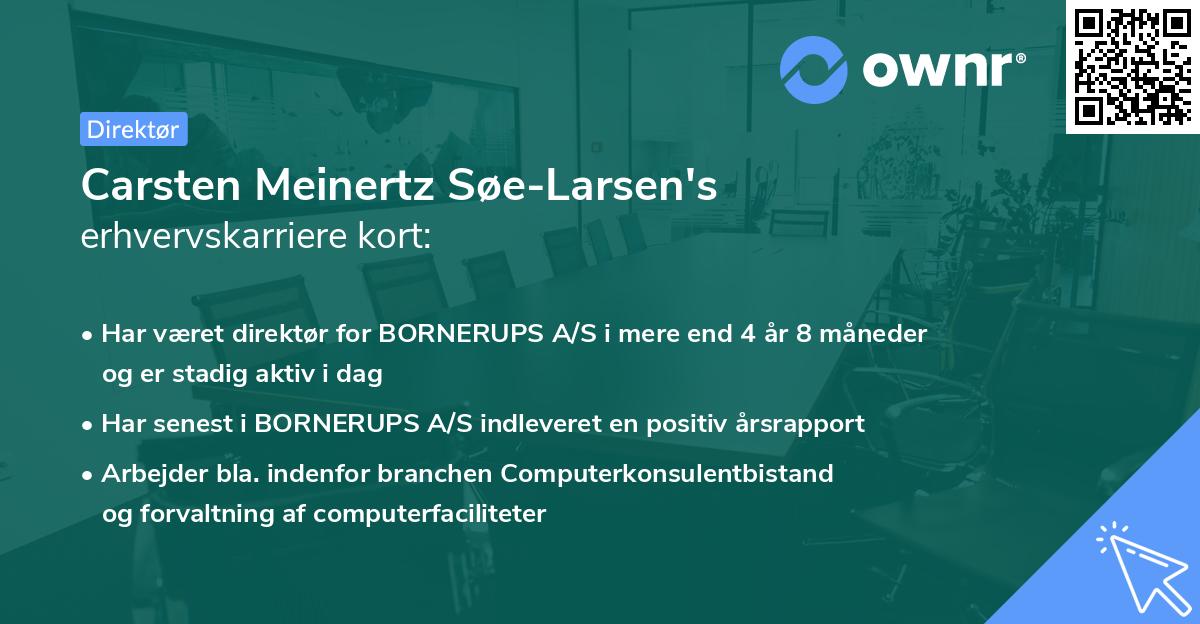 Carsten Meinertz Søe-Larsen's erhvervskarriere kort