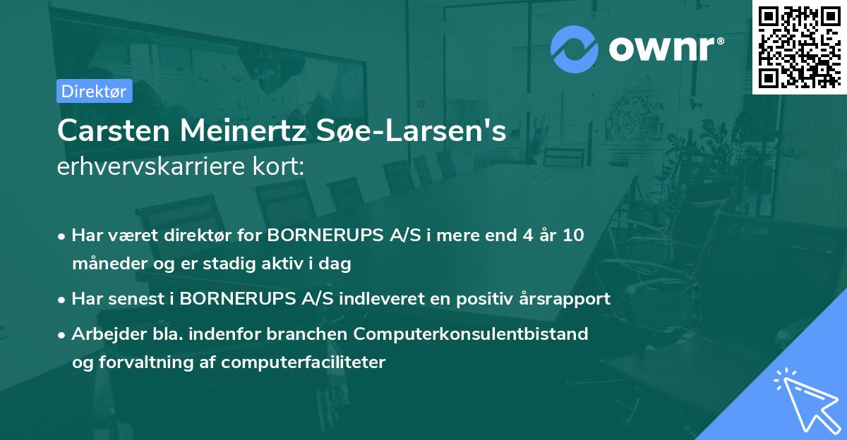 Carsten Meinertz Søe-Larsen's erhvervskarriere kort