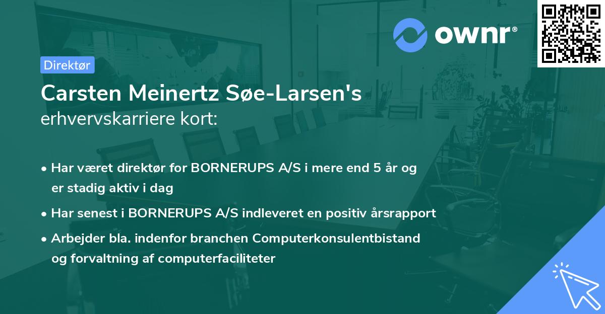Carsten Meinertz Søe-Larsen's erhvervskarriere kort