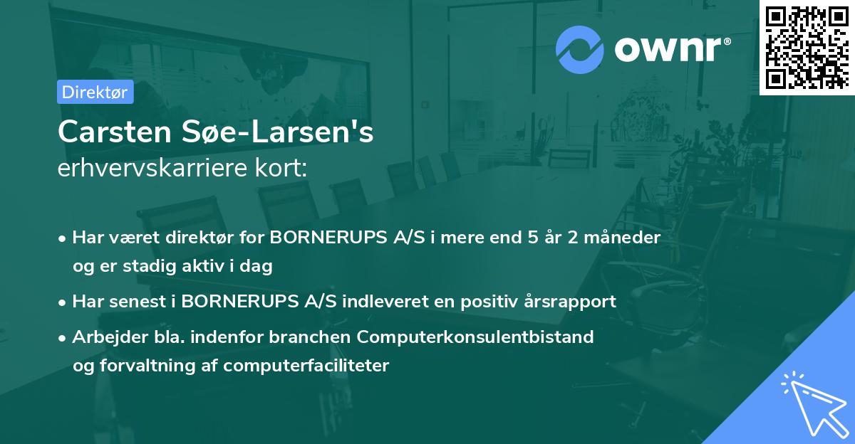Carsten Søe-Larsen's erhvervskarriere kort