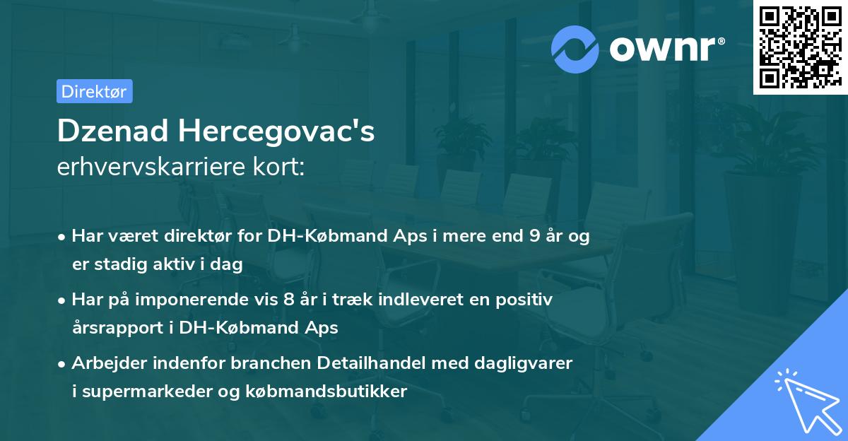 Dzenad Hercegovac's erhvervskarriere kort