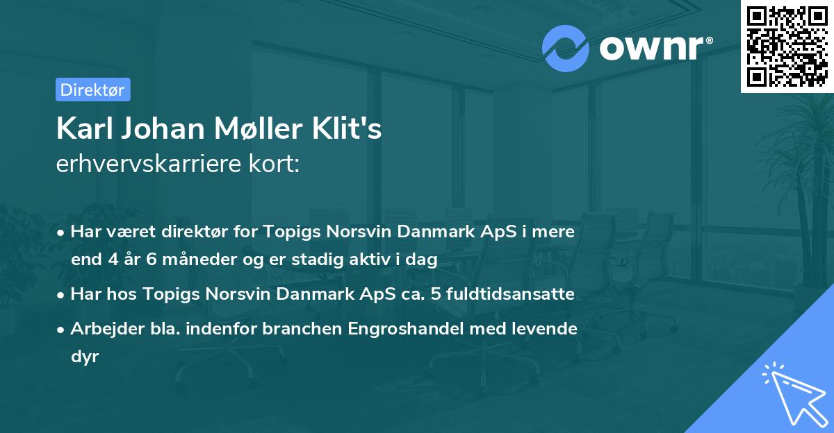 Karl Johan Møller Klit's erhvervskarriere kort