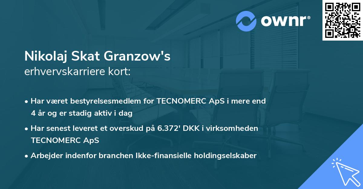 Nikolaj Skat Granzow's erhvervskarriere kort