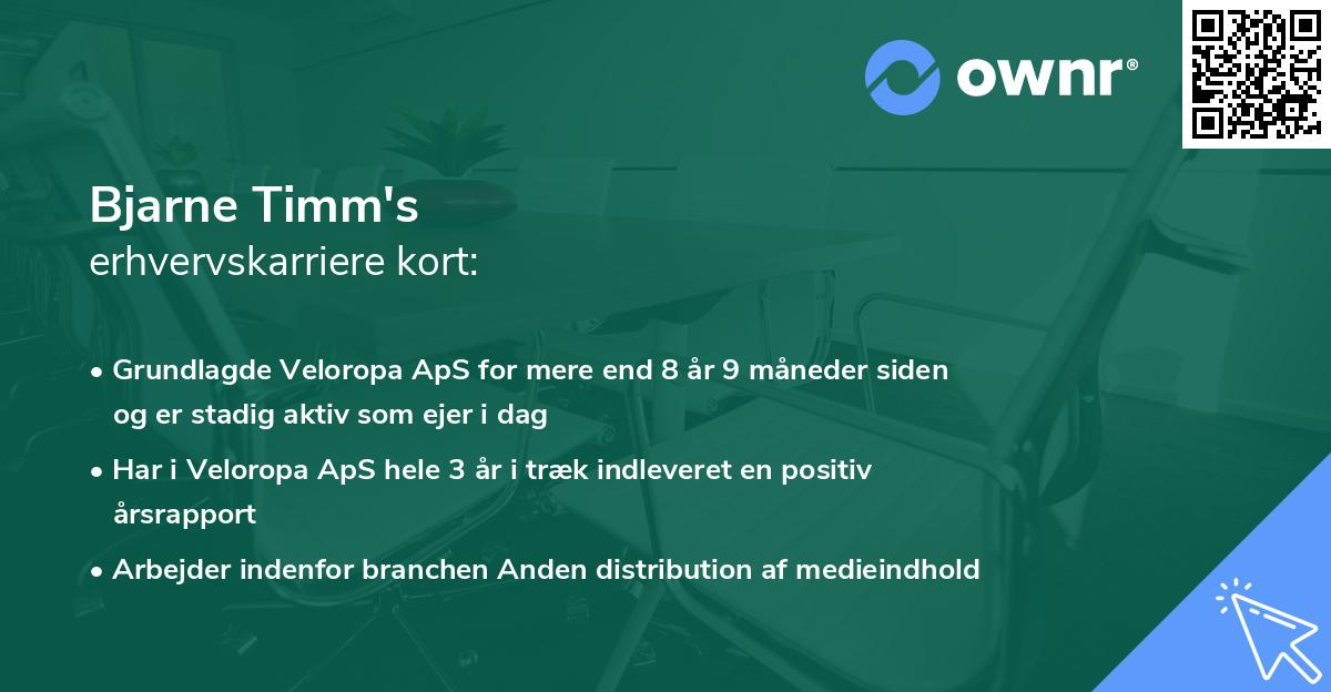 Bjarne Timm's erhvervskarriere kort