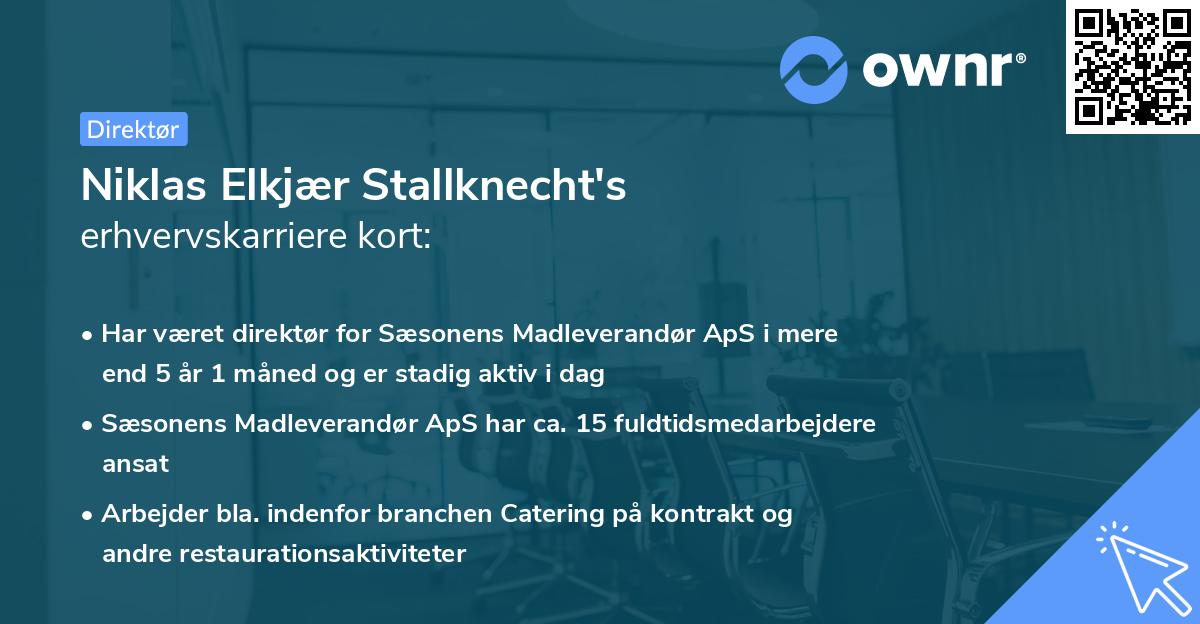 Niklas Elkjær Stallknecht's erhvervskarriere kort