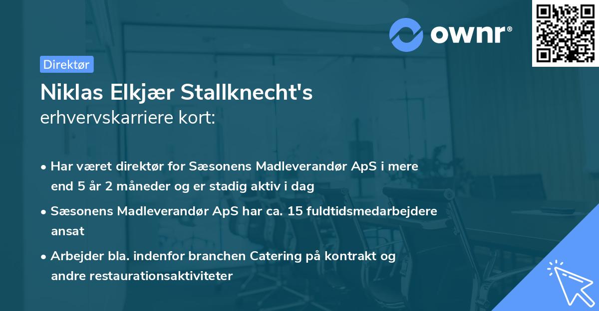 Niklas Elkjær Stallknecht's erhvervskarriere kort