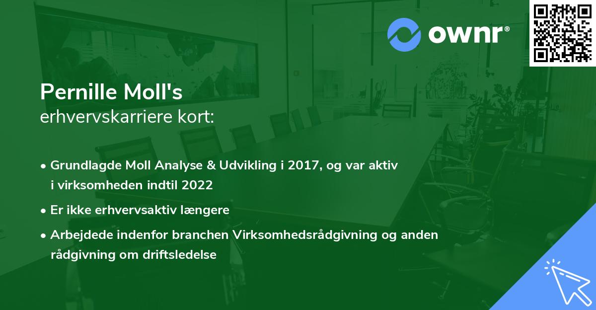 Pernille Moll's erhvervskarriere kort