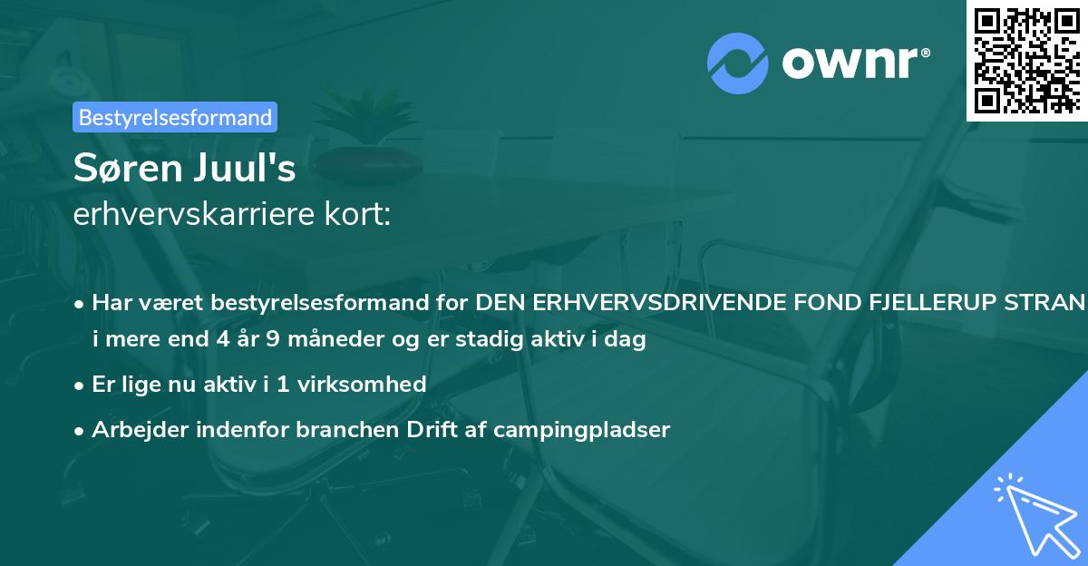 Søren Juul's erhvervskarriere kort