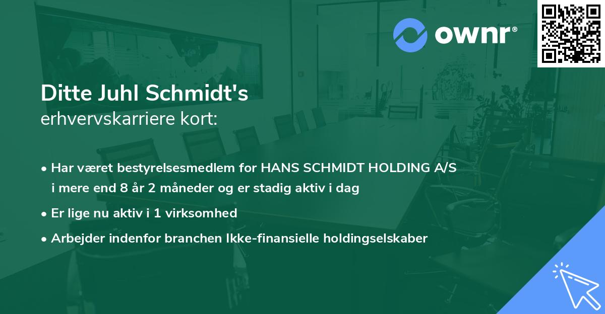Ditte Juhl Schmidt's erhvervskarriere kort