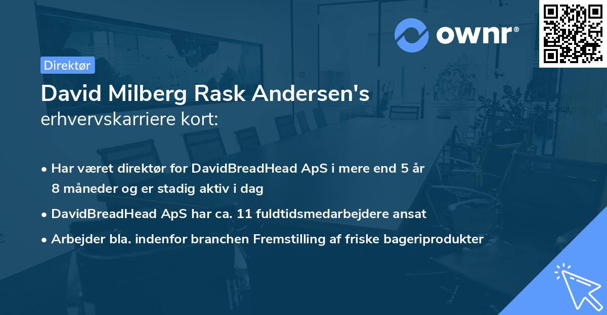 David Milberg Rask Andersen's erhvervskarriere kort