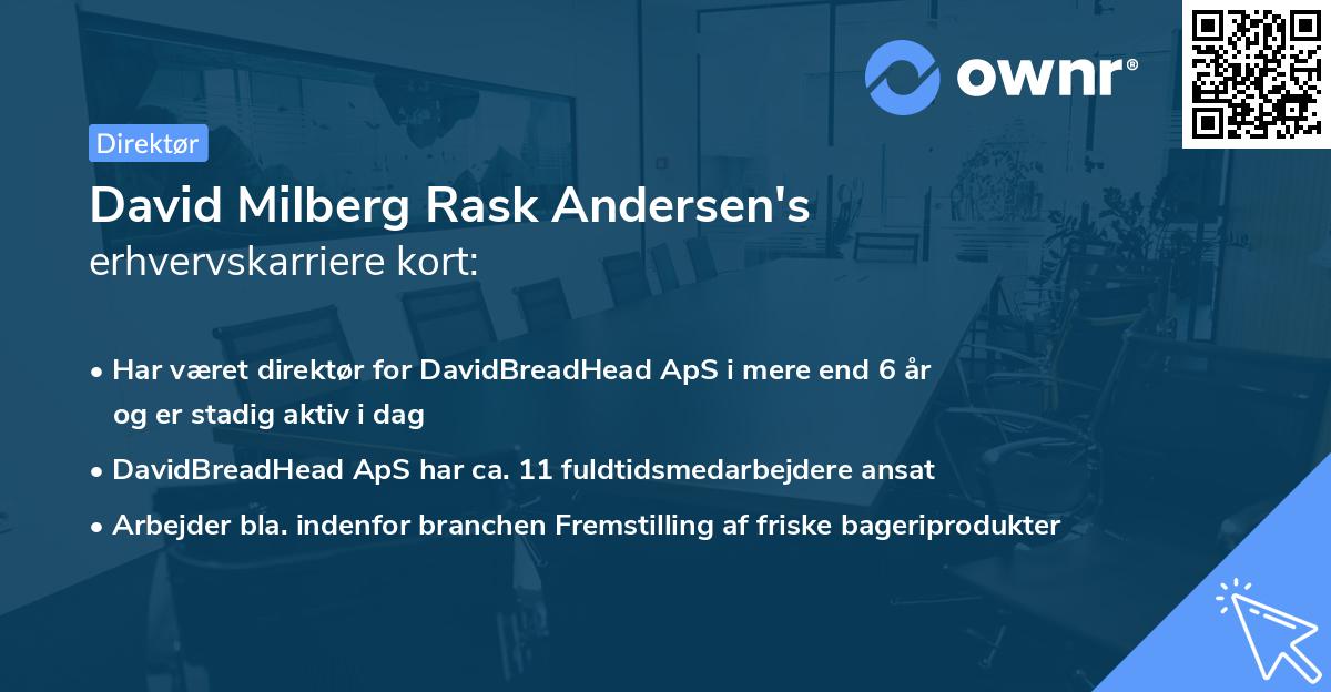 David Milberg Rask Andersen's erhvervskarriere kort