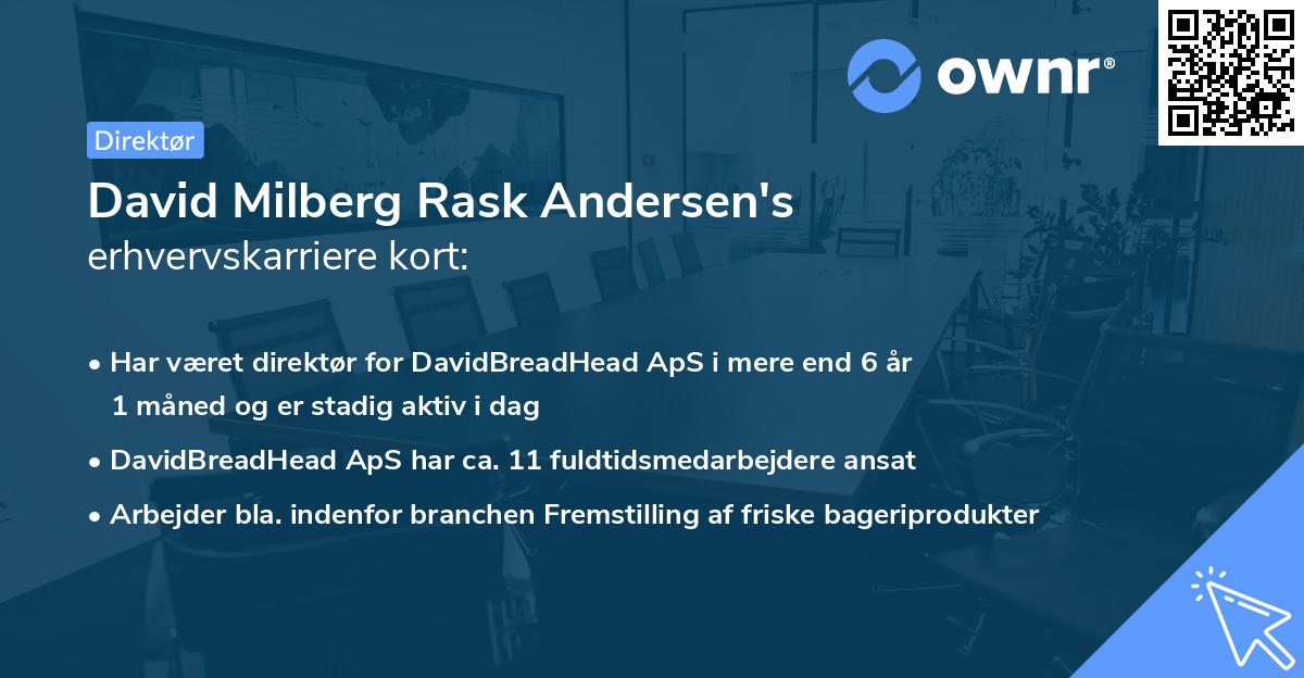 David Milberg Rask Andersen's erhvervskarriere kort