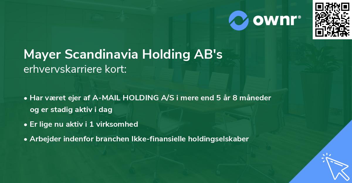Mayer Scandinavia Holding AB's erhvervskarriere kort