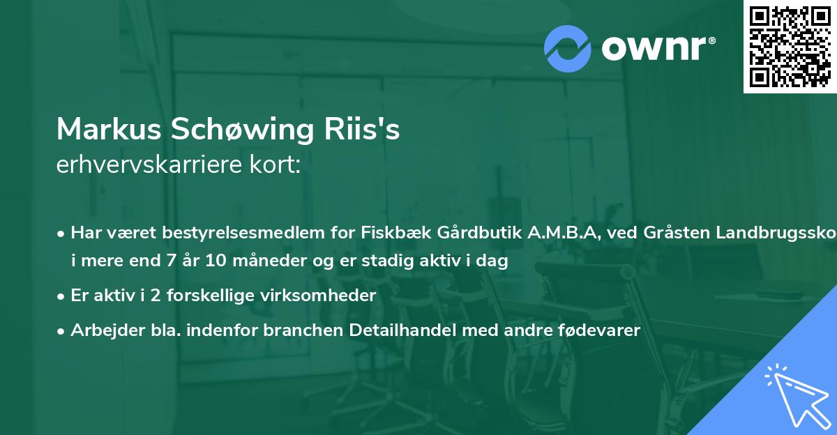 Markus Schøwing Riis's erhvervskarriere kort