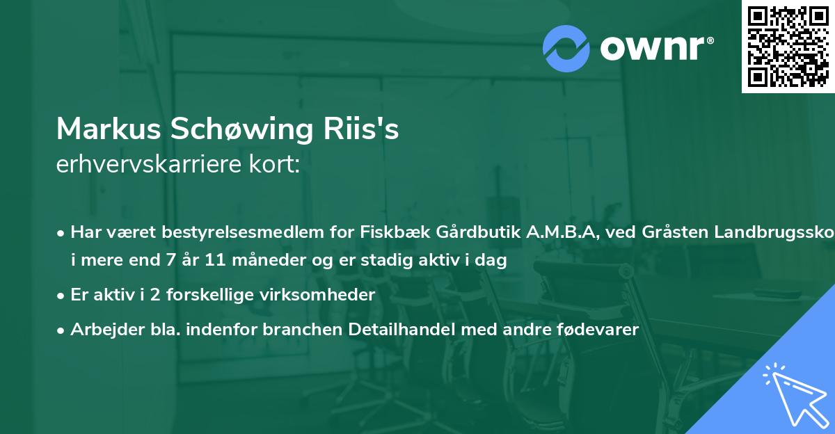 Markus Schøwing Riis's erhvervskarriere kort