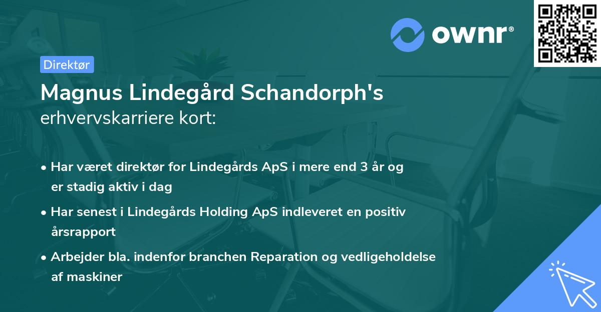 Magnus Lindegård Schandorph's erhvervskarriere kort