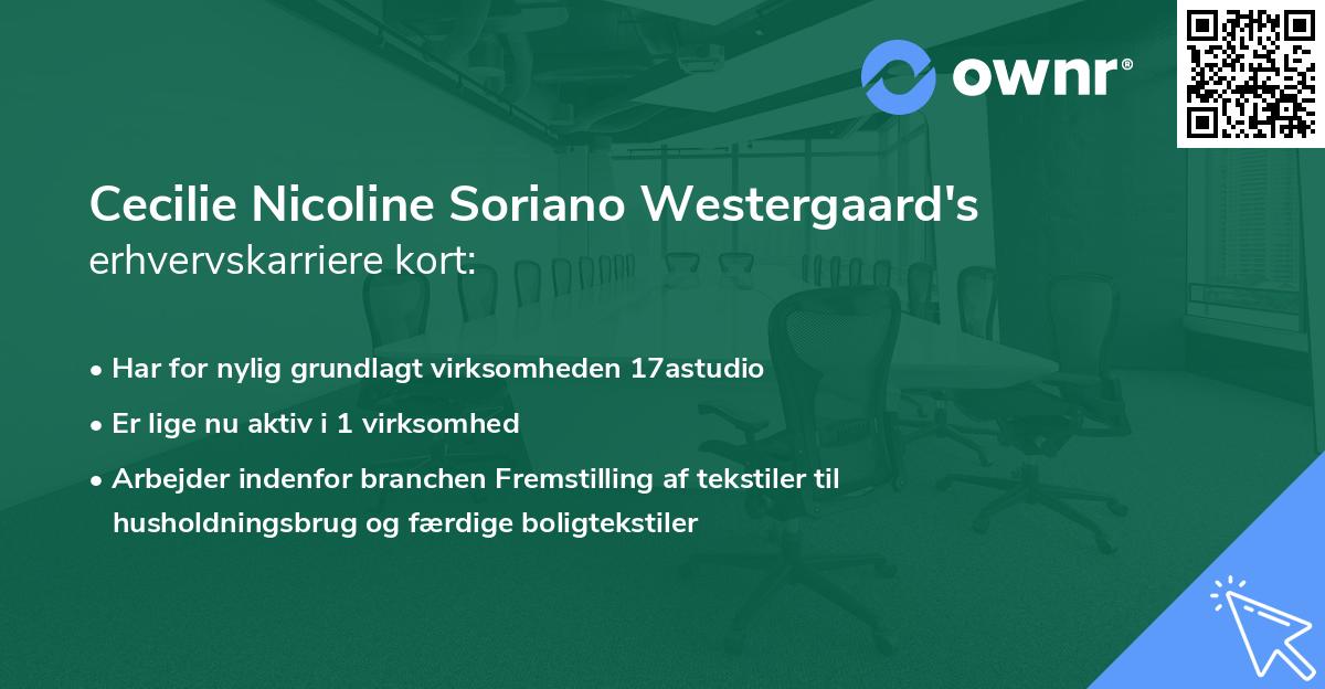 Cecilie Nicoline Soriano Westergaard's erhvervskarriere kort