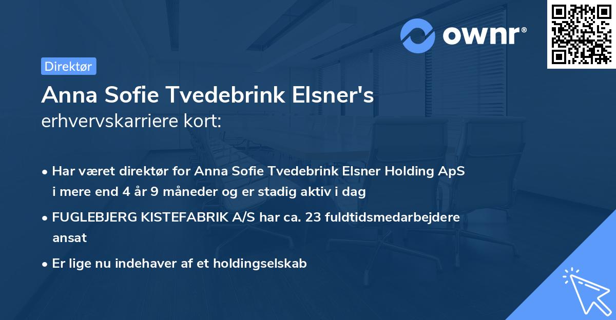 Anna Sofie Tvedebrink Elsner's erhvervskarriere kort