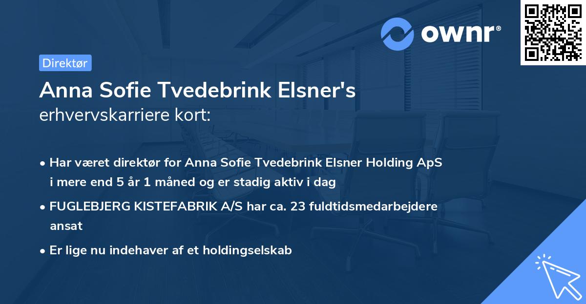 Anna Sofie Tvedebrink Elsner's erhvervskarriere kort