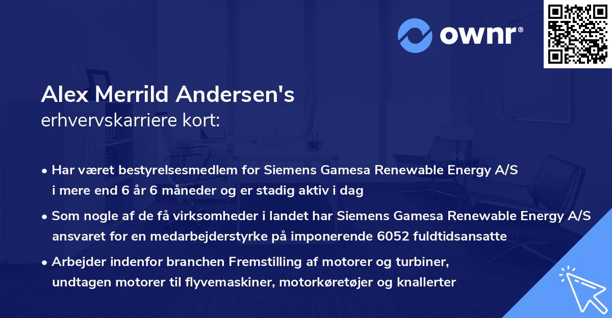 Alex Merrild Andersen's erhvervskarriere kort