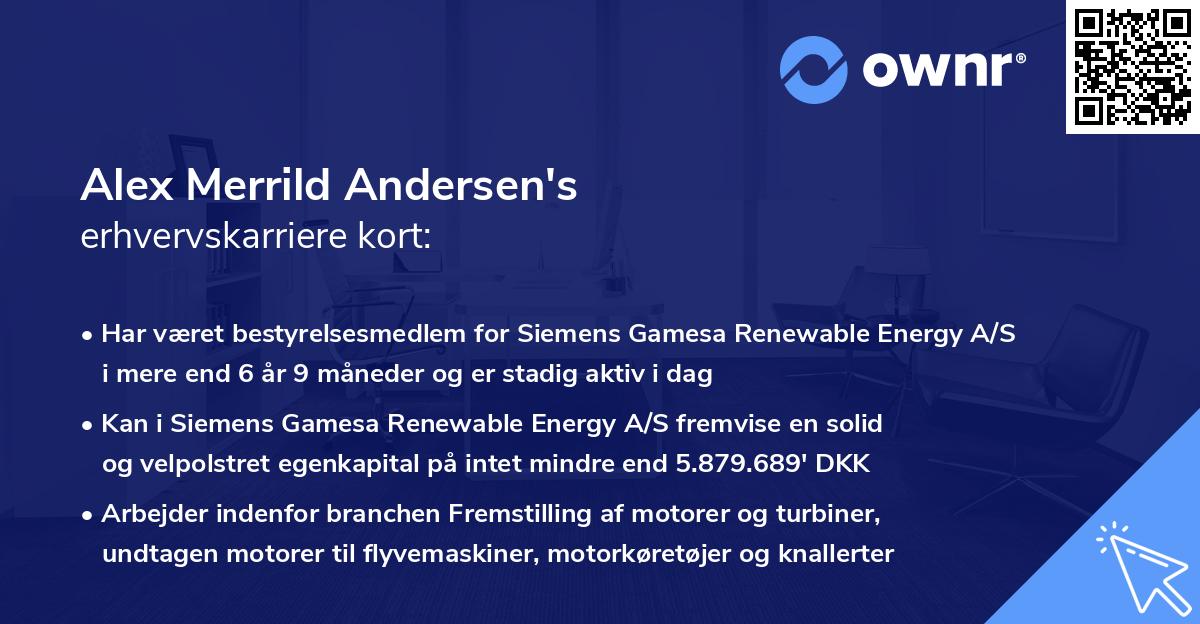 Alex Merrild Andersen's erhvervskarriere kort