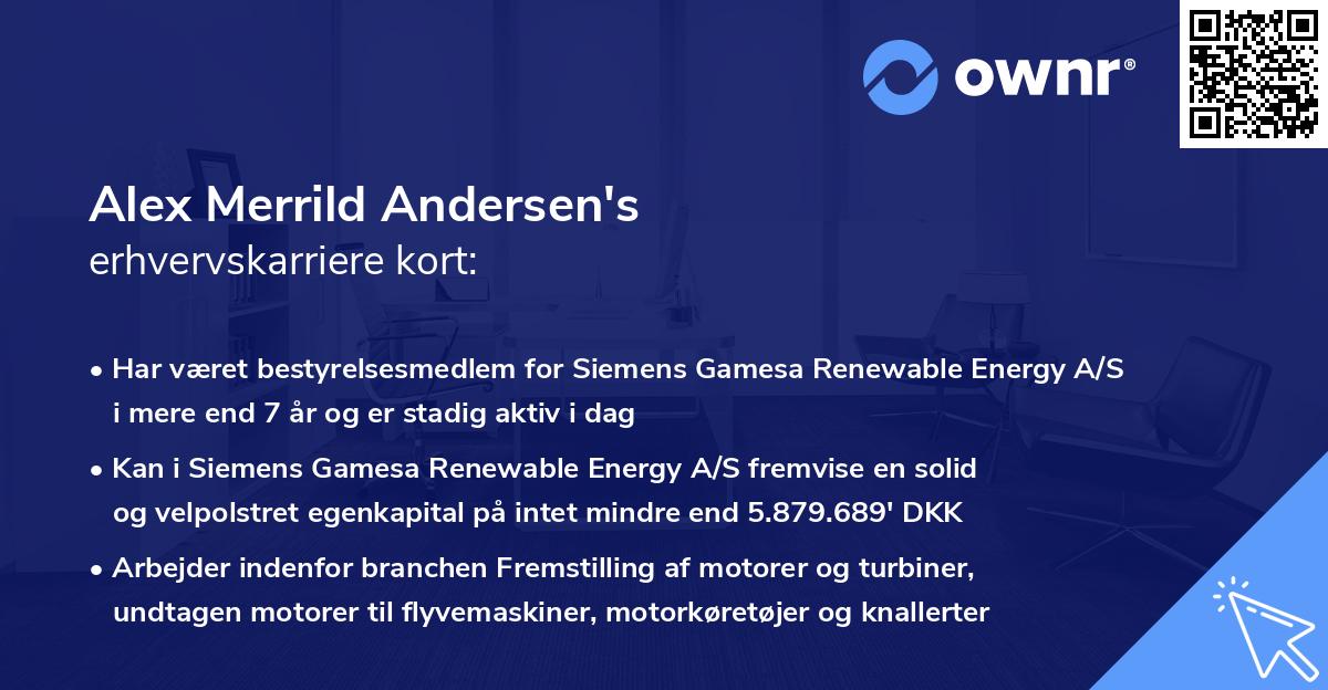 Alex Merrild Andersen's erhvervskarriere kort