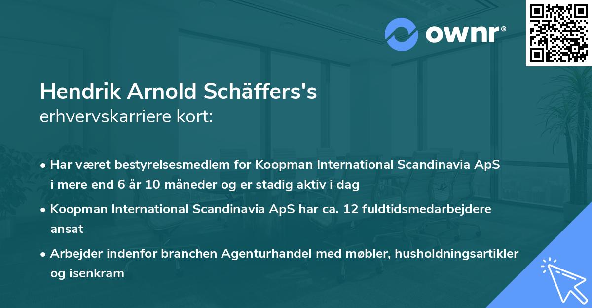 Hendrik Arnold Schäffers's erhvervskarriere kort