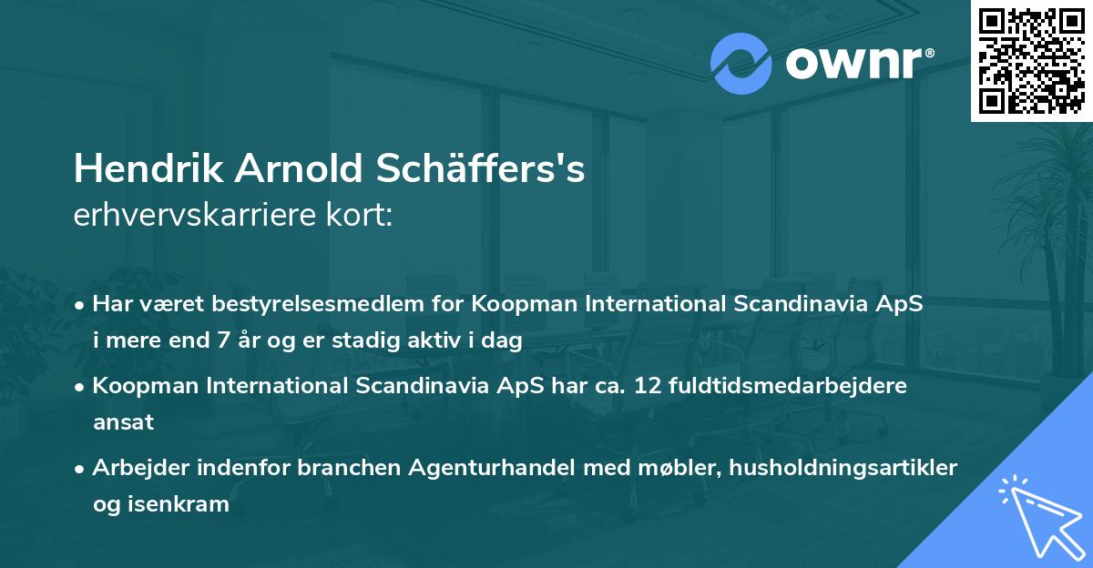 Hendrik Arnold Schäffers's erhvervskarriere kort