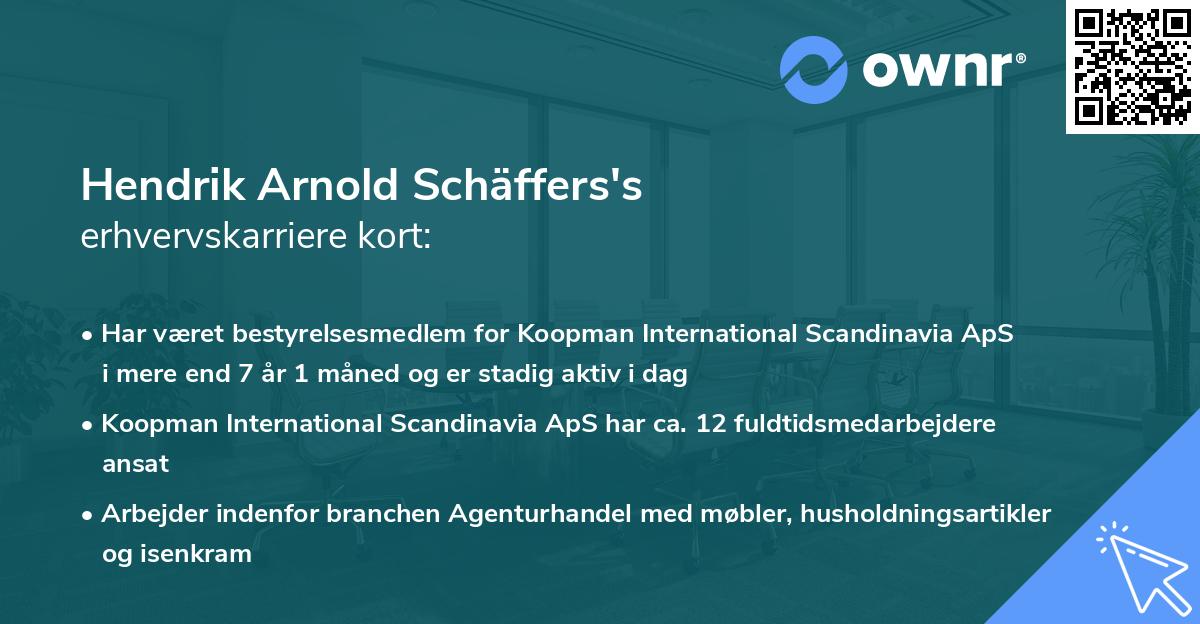 Hendrik Arnold Schäffers's erhvervskarriere kort