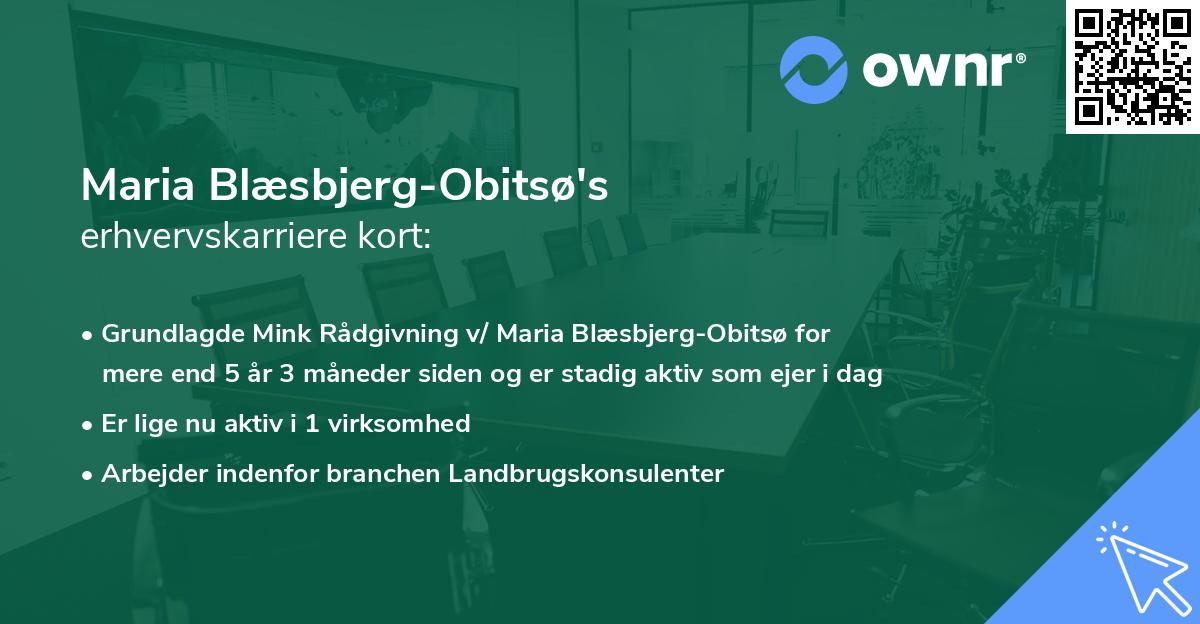 Maria Blæsbjerg-Obitsø's erhvervskarriere kort