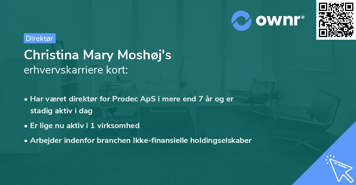 Christina Mary Moshøj's erhvervskarriere kort