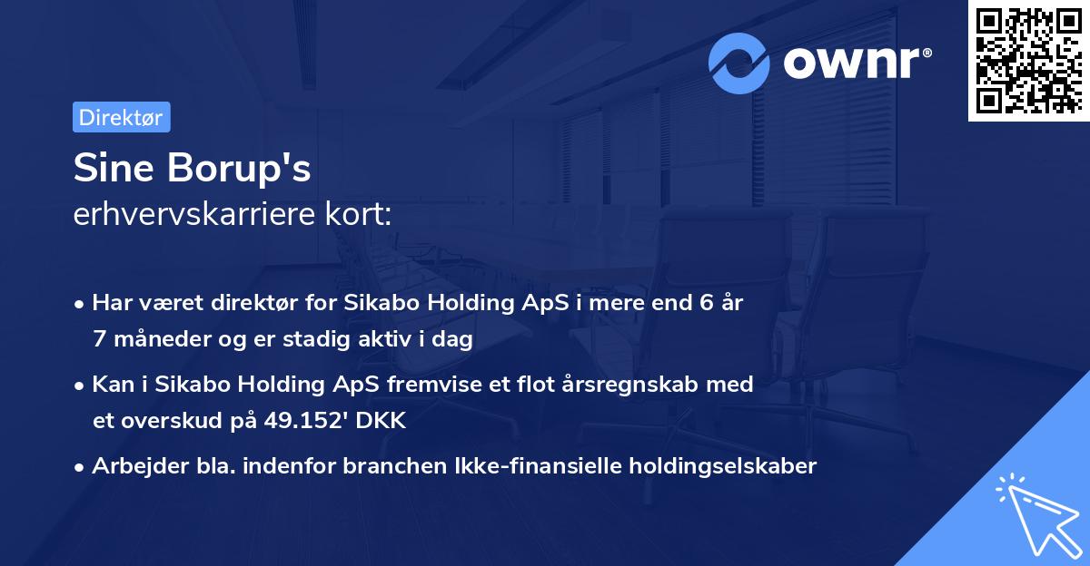 Sine Borup's erhvervskarriere kort