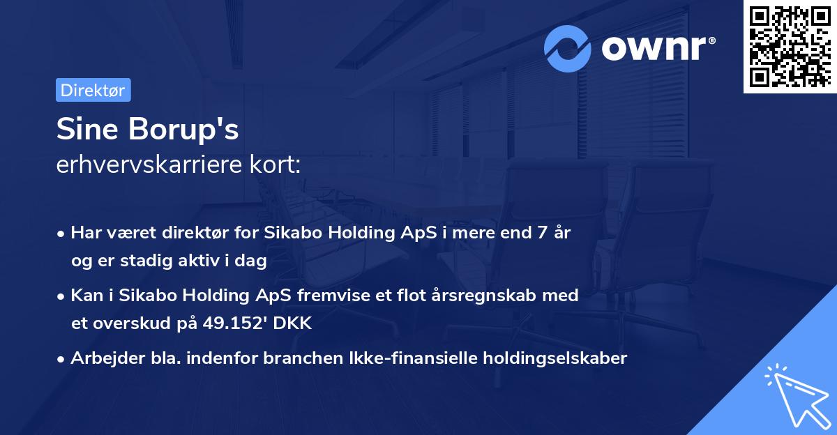 Sine Borup's erhvervskarriere kort