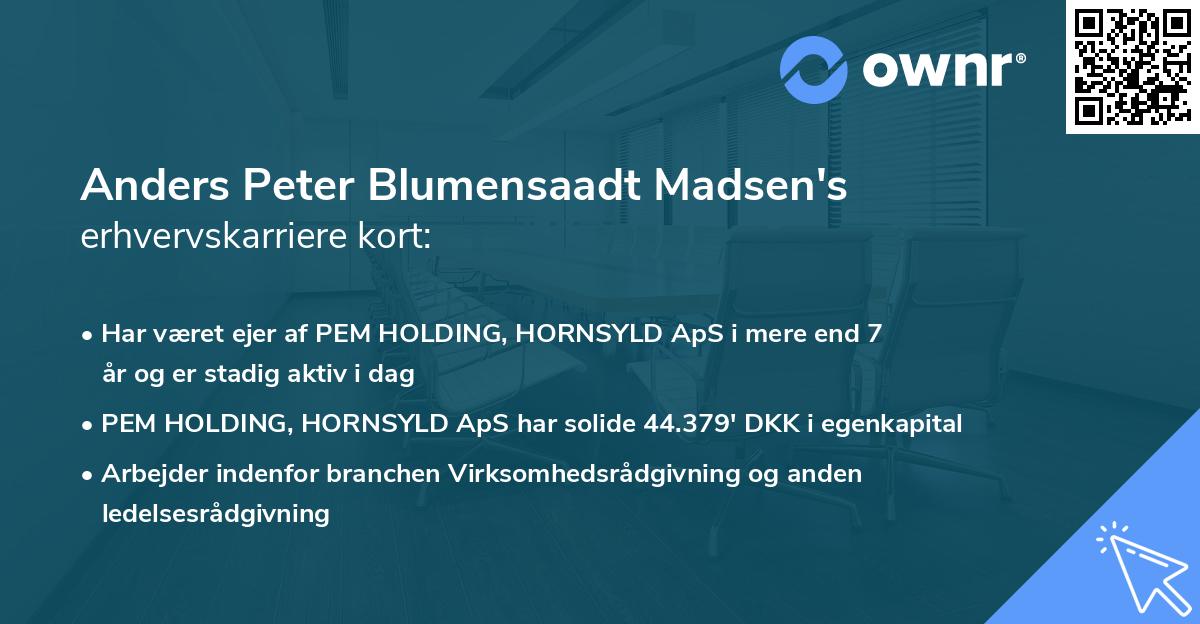 Anders Peter Blumensaadt Madsen's erhvervskarriere kort