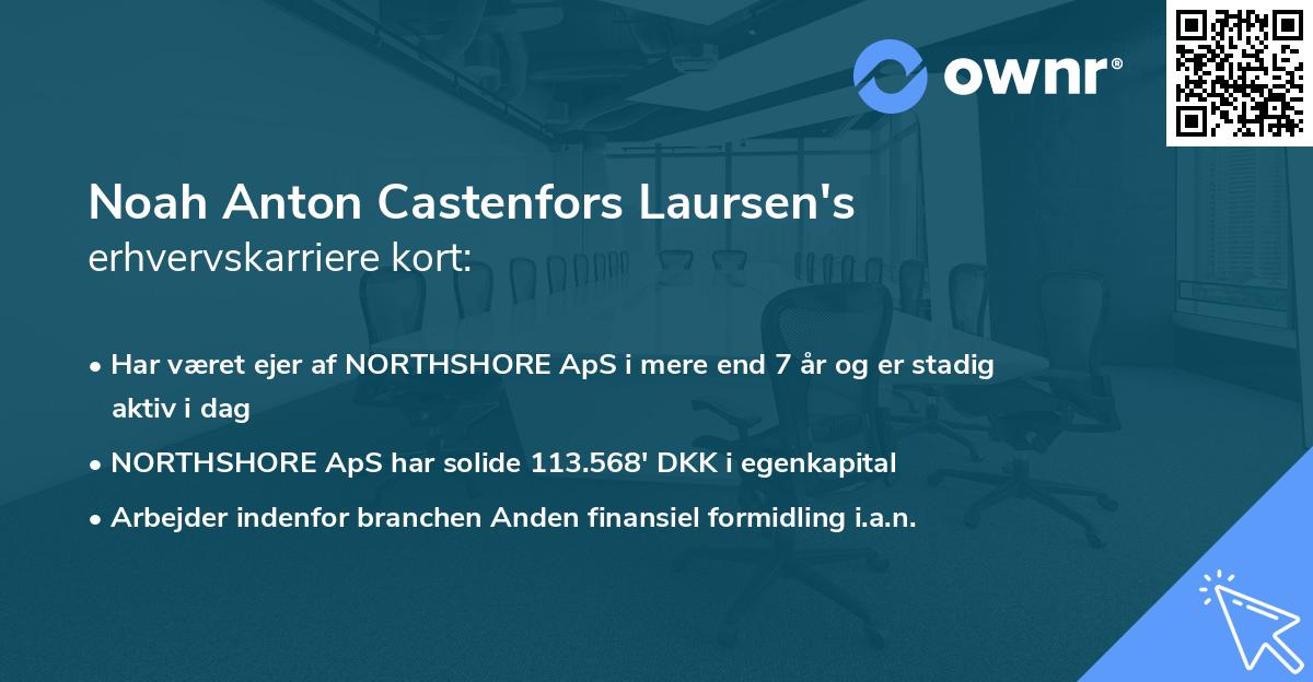 Noah Anton Castenfors Laursen's erhvervskarriere kort