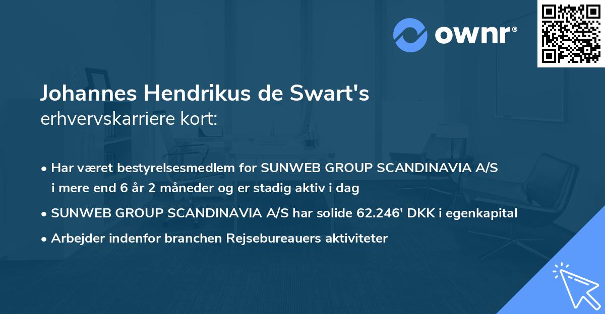Johannes Hendrikus de Swart's erhvervskarriere kort