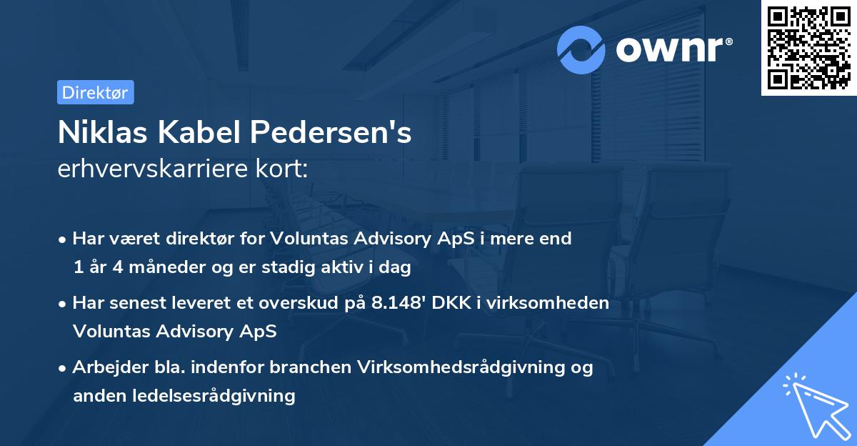 Niklas Kabel Pedersen's erhvervskarriere kort