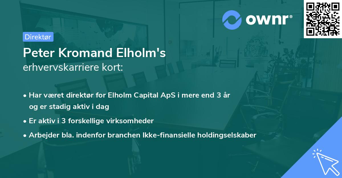 Peter Kromand Elholm's erhvervskarriere kort